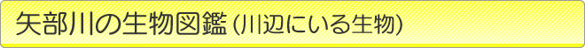 ̐}Ӂiӂɂ鐶j