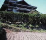 石積みの上につくられた水屋（鳥栖市安楽寺町）