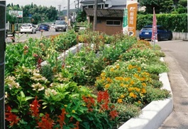 日置市共進クラブ 花壇の状況