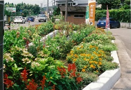 日置市共進クラブ　花壇の状況