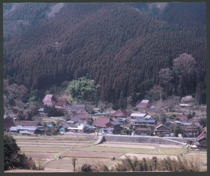 16.収穫を終えた水田（畑瀬地区）