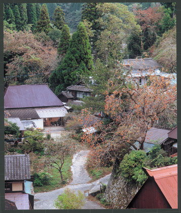 18.色づいた実を付けた柿の木と民家（畑瀬地区）