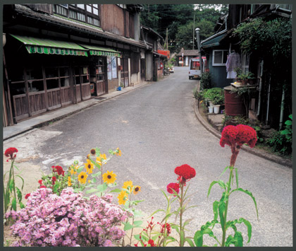 20.道端を季節の花が彩った（畑瀬地区）