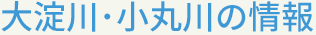 大淀川・小丸川の状況