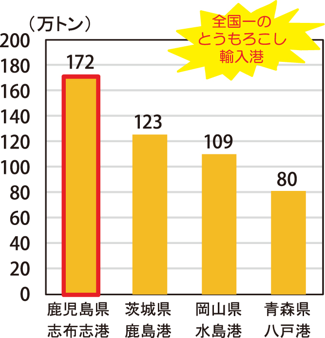 とうもろこしの輸入量（H28税関別）