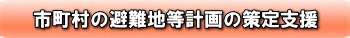 市町村の避難地等計画の策定支援