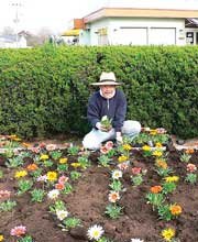 道守花壇「ふるふる」