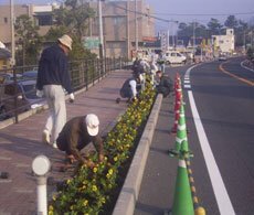 協和フラワーロード　垂水市協和公民館