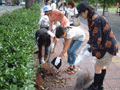 8月10日、「道の日」に向けて熊本が燃えています!!