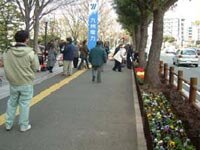 花壇ができあがりました
