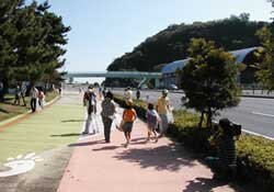 :“第4回 別大マイツリー活動”~3年経った木の成長も確認~