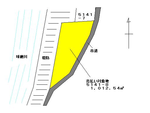 UEYANAGISIMOSHOSAI.JPG - 20,393BYTES