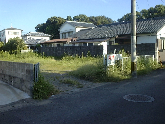 NISISIMO1.JPG - 260,505BYTES