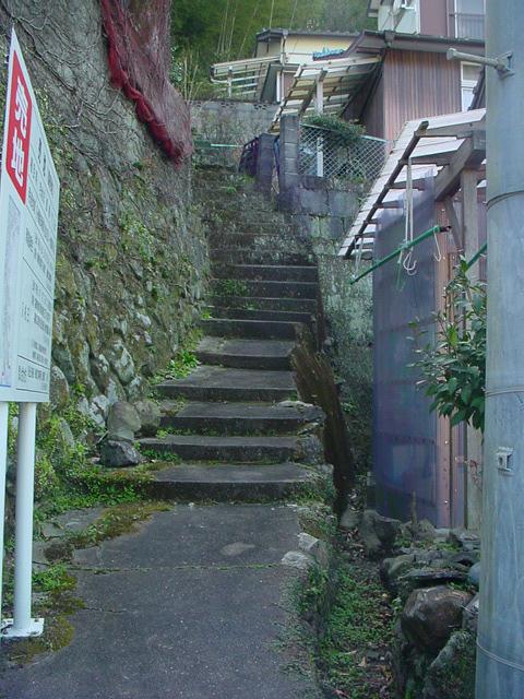 YANO2PHOTO1.JPG - 71,183BYTES