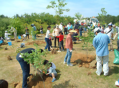 市民参加による植栽整備：写真