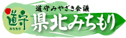 ����݂₴����c�@���k�݂�����