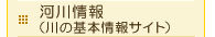 �͐���i��̊�{���T�C�g�j