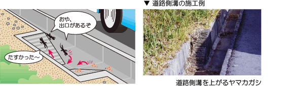 道路側溝