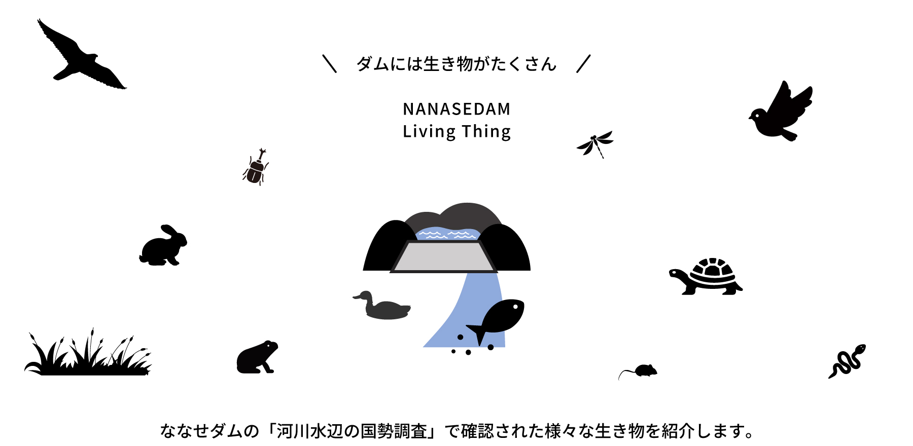 ななせダムの生き物