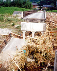 平成5年9月3日 七瀬川露橋