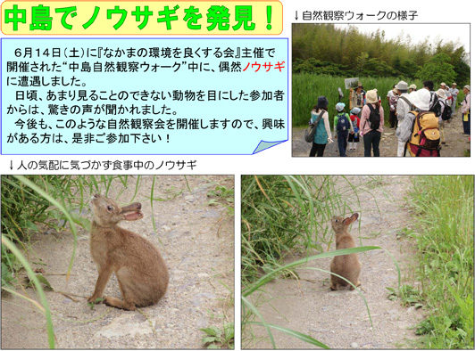 Cxg摜