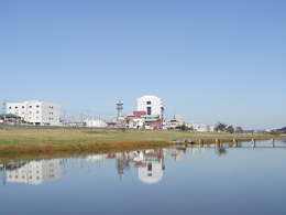 st isj