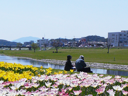 st is)