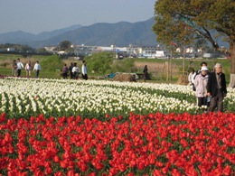 @Ԃ̂イisj