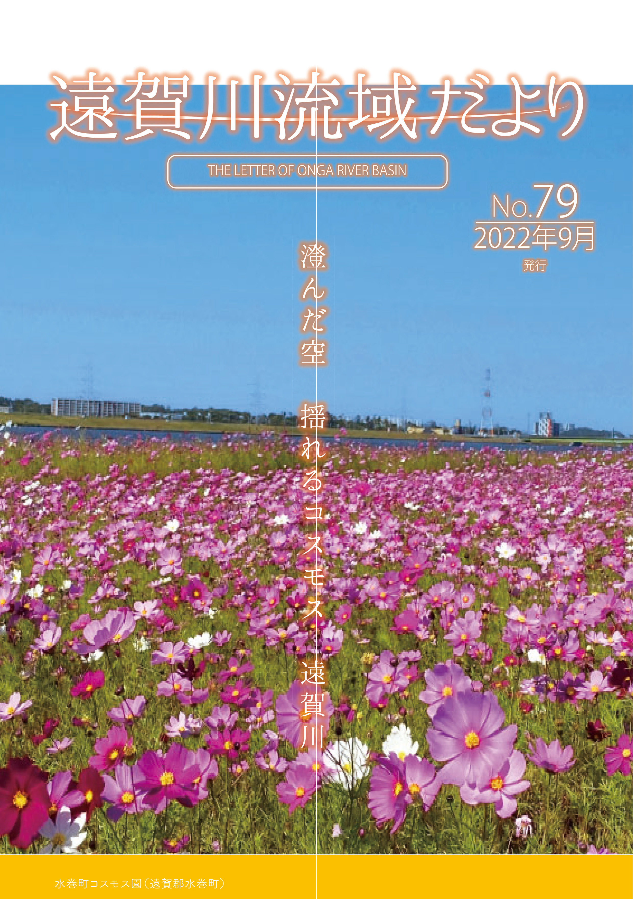 第79号