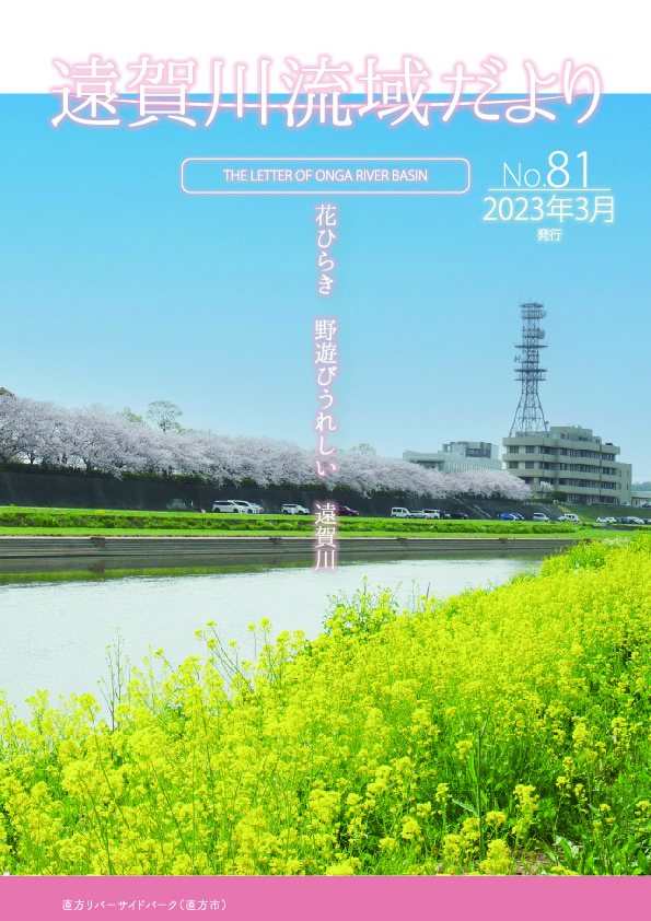 第81号