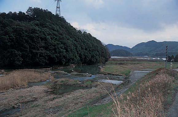 八木山川・岩瀬（富田町）の写真