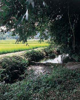 千手川（嘉穂町）の写真