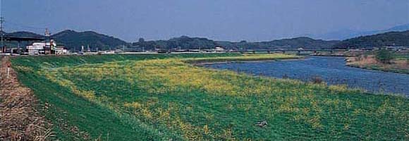 八木山川・岩瀬（富田町）の写真