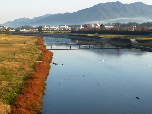 遠賀川八景14