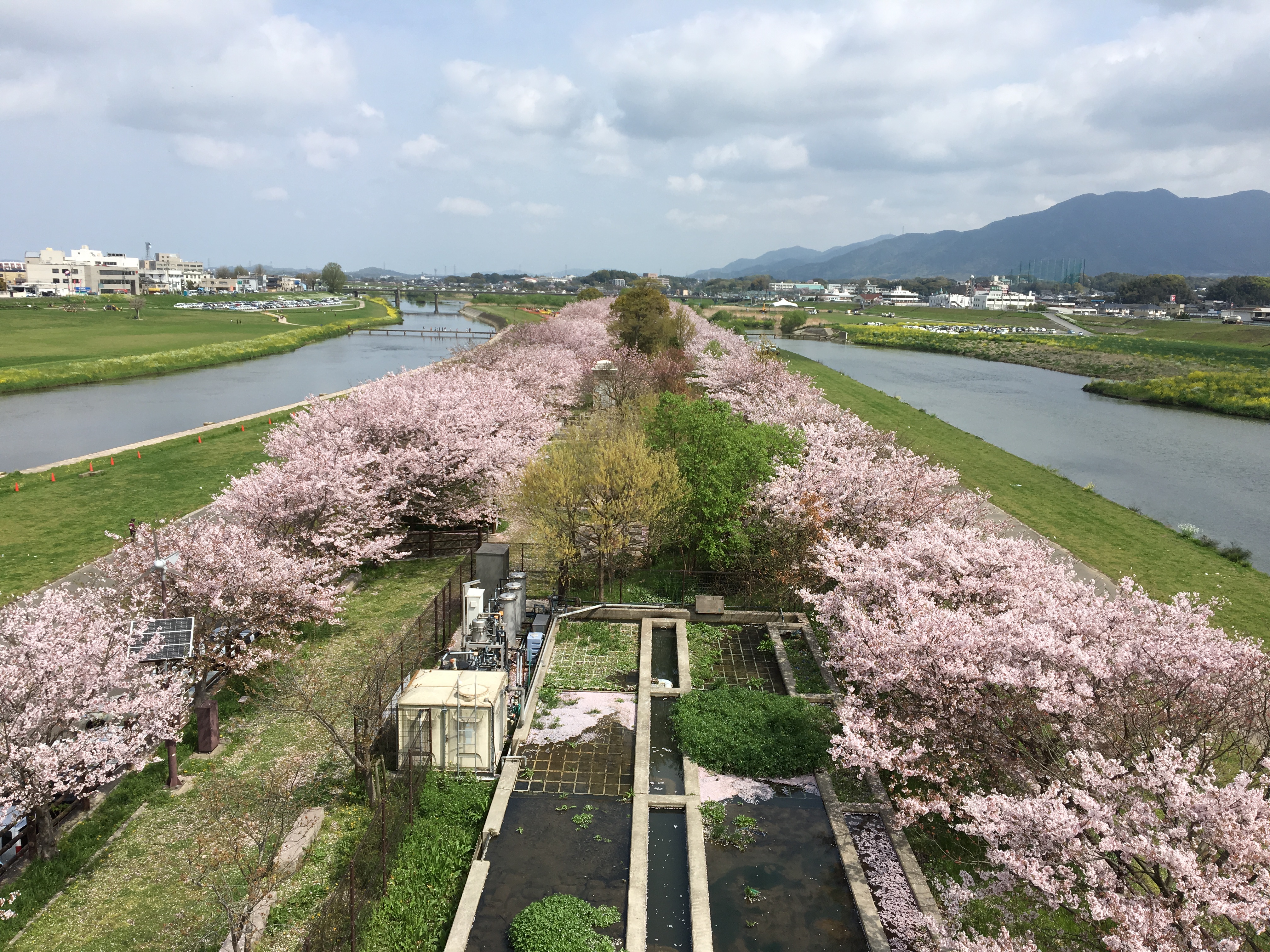 遠賀川八景4