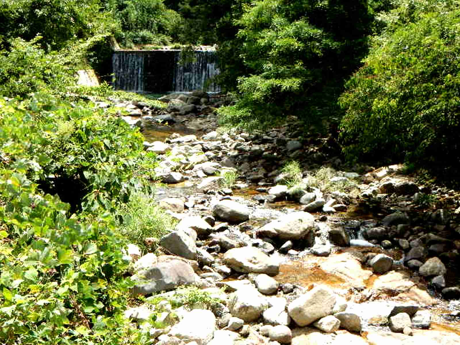 遠賀川八景13