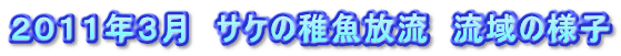 QOPPNR@TP̒t@̗lq