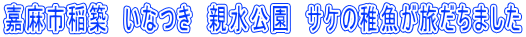 Ösz@Ȃ@e@TP̒t܂