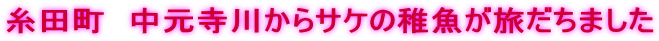 c@삩TP̒t܂