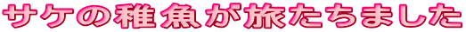 TP̒t܂