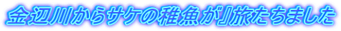 Ӑ삩TP̒tx܂