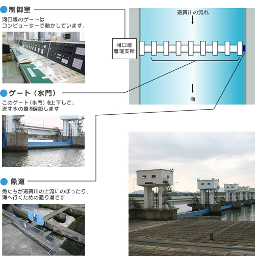 遠賀川河口堰のしくみについて