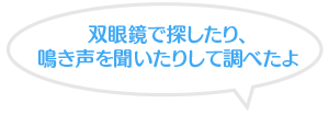 双眼鏡で探したり、鳴き声を聞いたりして調べたよ