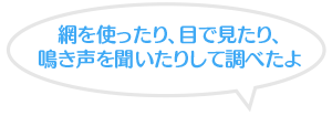 網を使ったり、目で見たり、鳴き声を聞いたりして調べたよ