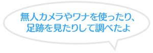 無人カメラやワナを使ったり、足跡を見たりして調べたよ