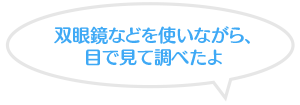 双眼鏡などを使いながら、目で見て調べたよ