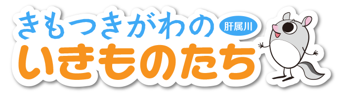 きもつきがわのいきものたち（肝属川）