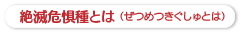 絶滅危惧種とは