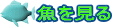 魚を見る