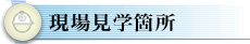 ꌩwӏ